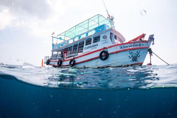 Hotel Carabao Diving Ko Tao Exterior foto